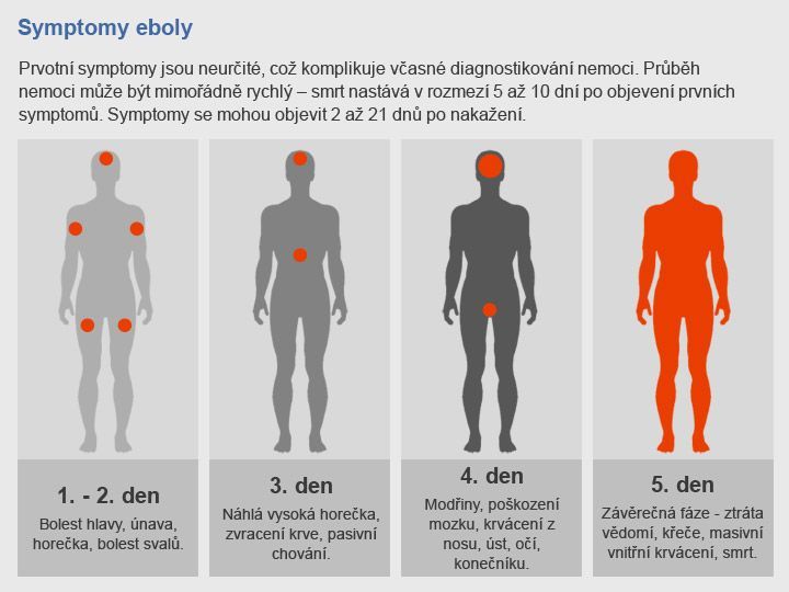 Virus Ebola