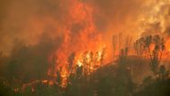 Ohně od poloviny srpna spálily víc než 1,4 milionu akrů půdy, oblast třikrát větší, než je město Los Angeles. Ačkoliv v tomto období jsou požáry v Kalifornii běžné, podle úřadů jsou ty letošní jedny z nejhorších, které byly kdy v oblasti zaznamenány.