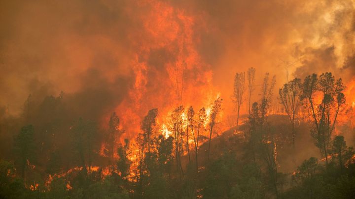Finsko zasáhl největší lesní požár za půl století, během pěti dní shořelo 300 hektarů; Zdroj foto: Reuters