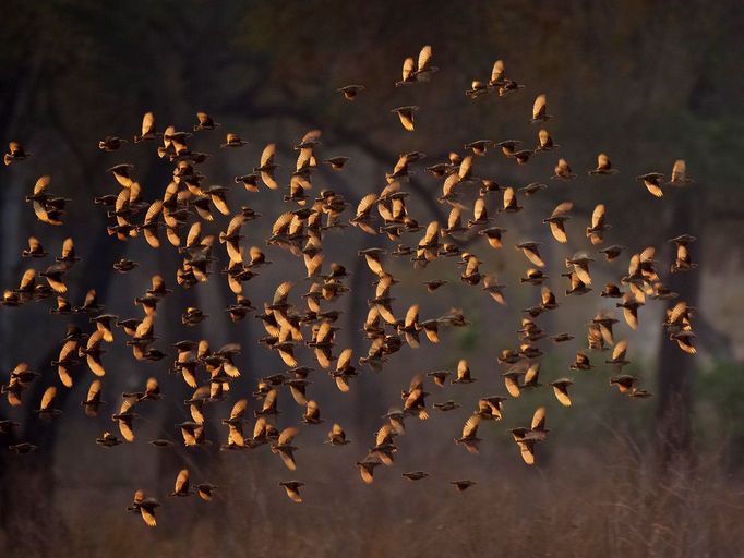 Panasonic G9 - ukázkové snímky, které nafotil Bence Máté