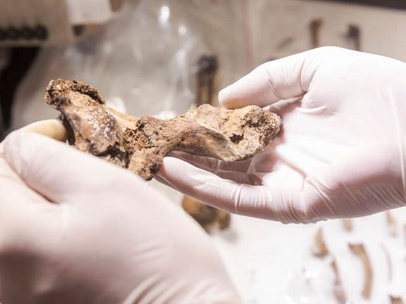 Kost nalezená v relikviáři Jindřicha Libraria.