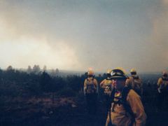 Ilustrační fotografie. Lesní požár v Coloradu, 2004.