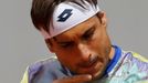 French Open 2015: David Ferrer