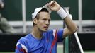 DC, Česko - Nizozemsko: Tomáš Berdych