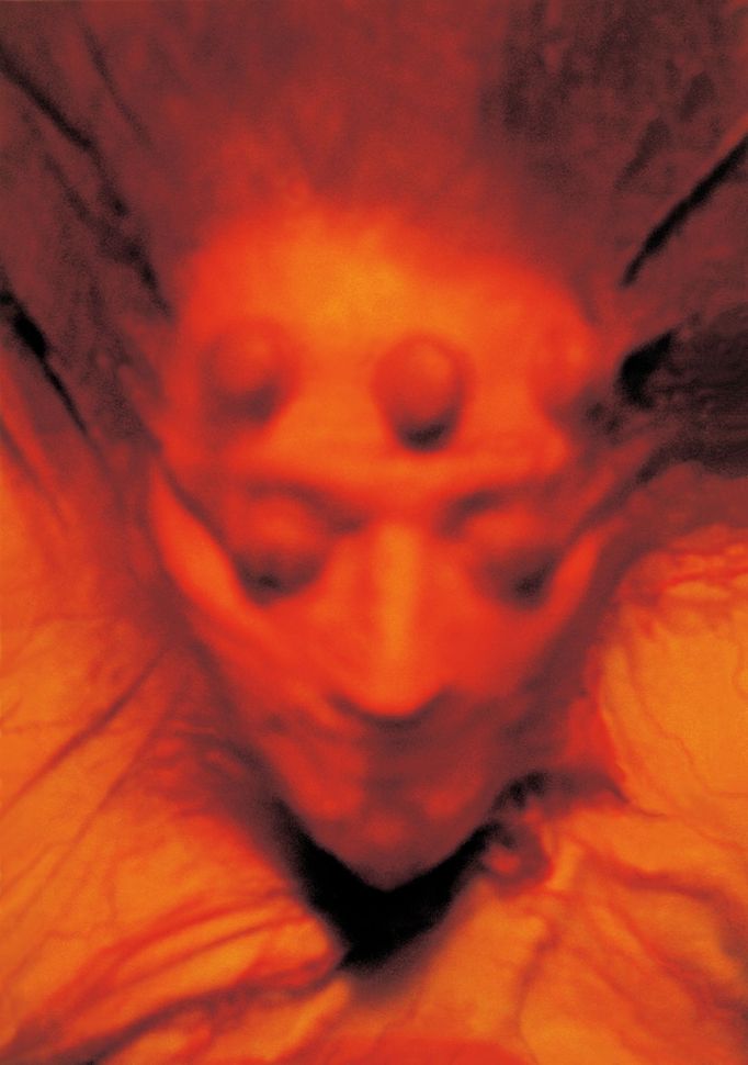 Veronika Bromová, cyklus Bytosti (1997).