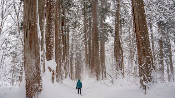 "Takový prašan jsme nikde na světě neviděli." Skipas tu však stojí míň než ve Špindlu