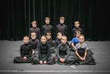 Flash Jaroměř – scénický tanec, Královehradecký kraj.
Taneční skupina chlapců ve věku 8 až 14 let je v ČR raritou. Ocenění získávají za mimořádný přínos v oblasti scénického tance na celostátních přehlídkách tance, pantomimy a pohybového divadla.