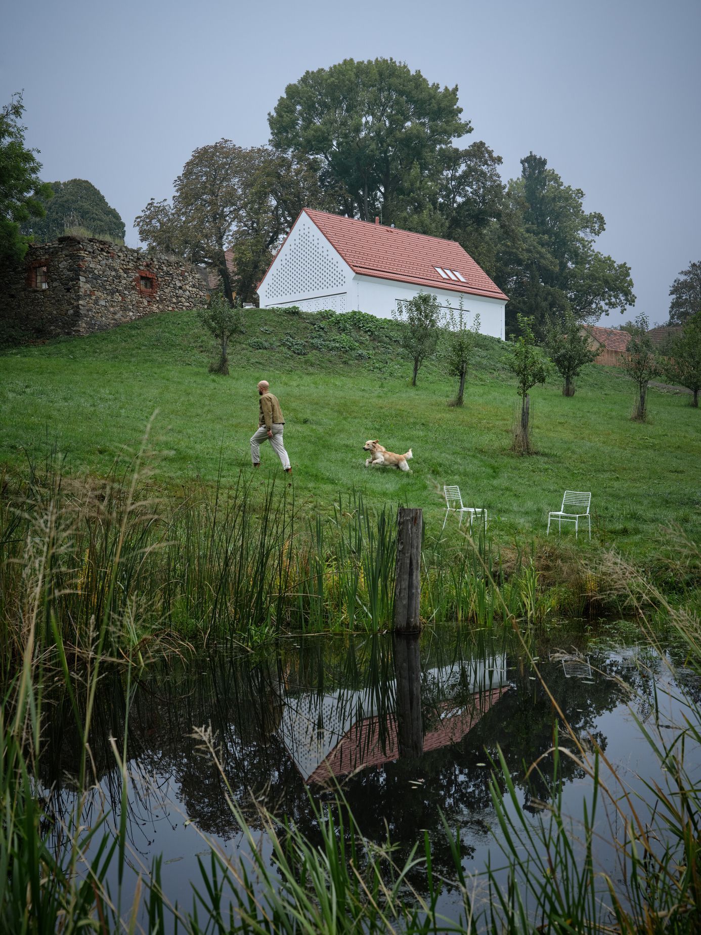 dům oskar, bydlení, dům, stavba, architektura