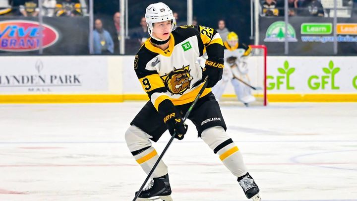Neskutečné návyky, zírají v zámoří. Český talent dává lekce, připomíná hvězdu NHL; Zdroj foto: Brantford Bulldogs