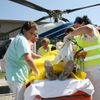 Cvičení Trauma 2009