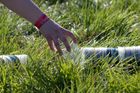 Festivaly přinesou kila zábavy a tuny tříděného odpadu
