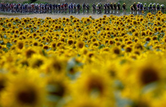 Cycling - Tour de France - Stage 8 - Libourne to Limoges - France - July 8, 2023 General view of the peloton in action during stage 8. REUTERS/Stephane Mahe           SEA