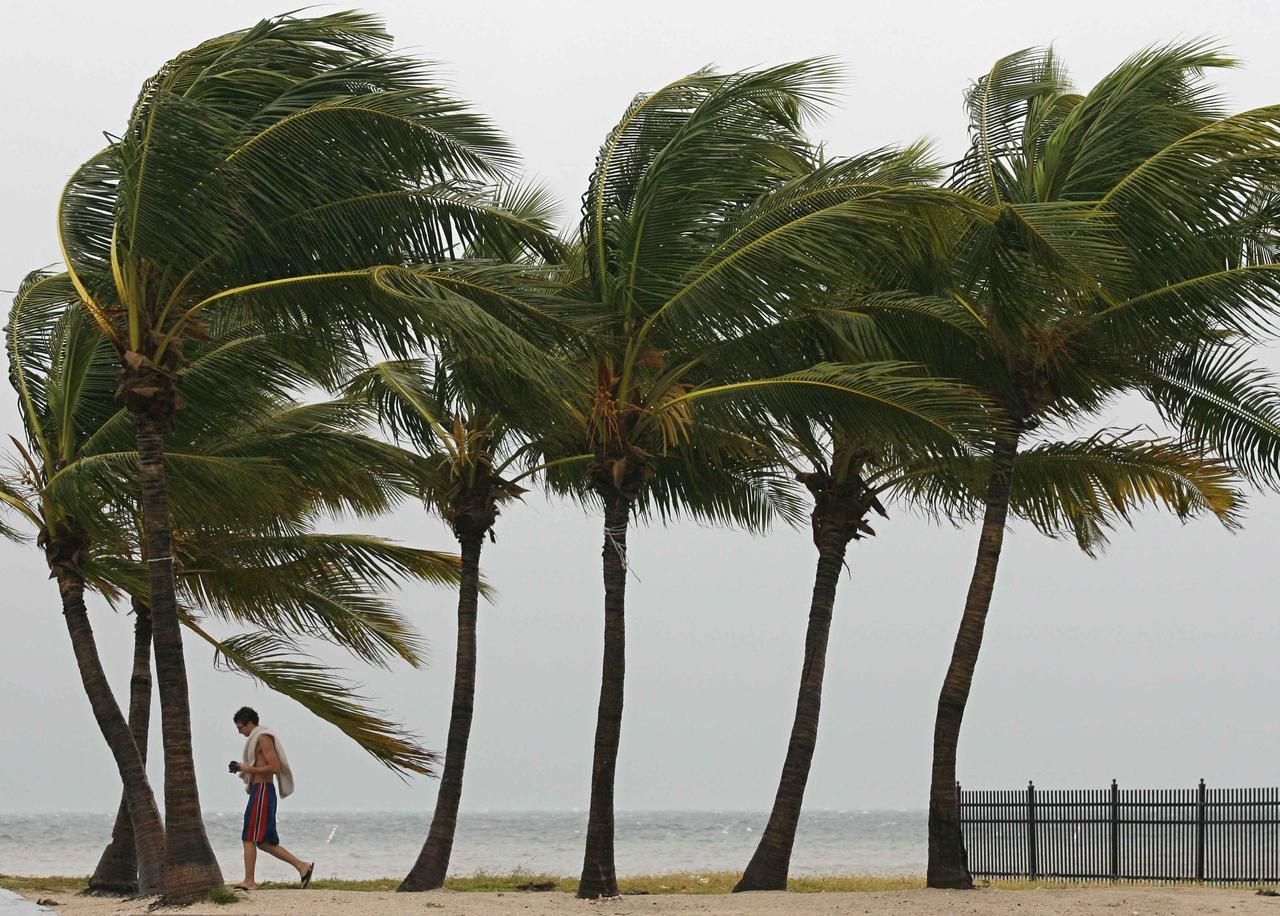 Isaac, tropická bouře, ohýbá palmy na Floridě