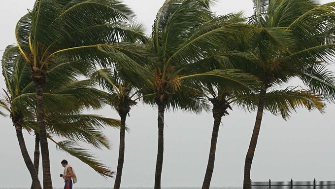 Isaac, tropická bouře, ohýbá palmy na Floridě.