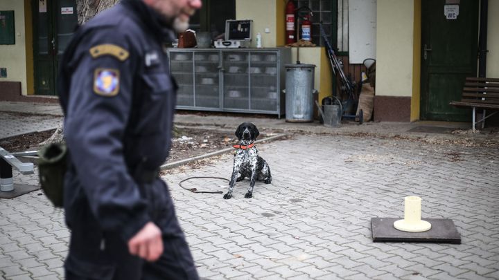 Vražda ve Vysokém Mýtě a výbušniny v Pardubicích mají stejného viníka, uvedla policie; Zdroj foto: Jakub Plíhal