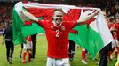 Euro 2016, Wales-Belgie: Chris Gunter