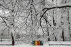 Sněhová apokalypsa v Moskvě má už jednu oběť. Desítky letů jsou zrušených, vítr vyvrací stromy