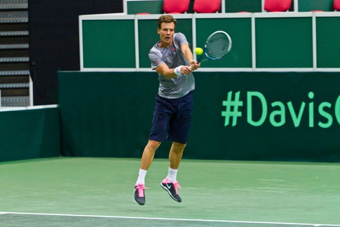 Davis Cup, Tomáš Berdych