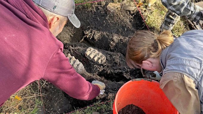 V blízkosti Scotchtown našli na zahradě jednoho domu kompletní dobře zachovanou čelist mastodonta, část kosti prstu a fragment žebra, které vyčnívaly ze země.