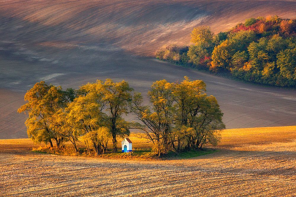 Moravské Toskánsko - mezinárodní výstava fotografií