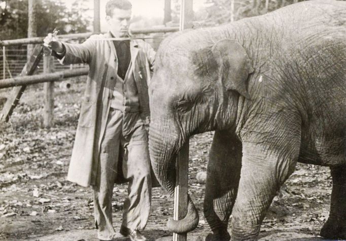 ZOO Liberec slaví 120 let od svého vzniku. Podívejte se na historické momenty a vývoj nejstarší zoologické zahrady v českých zemích od jejího založení v roce 1904.