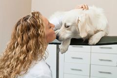 Syndrom vyhoření, agrese v ordinaci. "Jsme i psychologové pro lidi,“ říká veterinářka