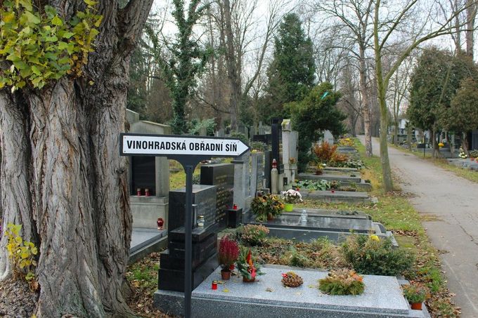 Ilustrační snímek Vinohradského hřbitova v Praze, o kterém se dříve spekulovalo, že by zde mohly být pohřbené ostatky zavražděné O. Vranské. Nikdy se zde ovšem nenašly.