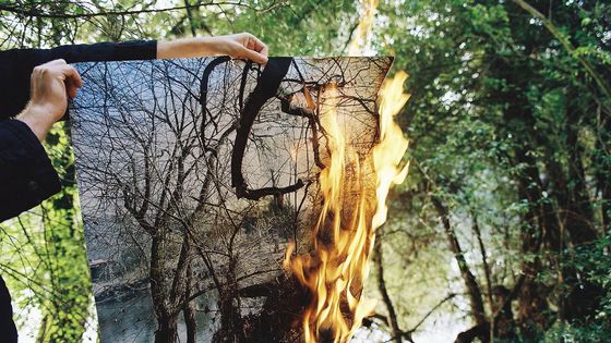 Tomáš Kajánek: Pojišťovna zaplatí, až fotografie shoří.