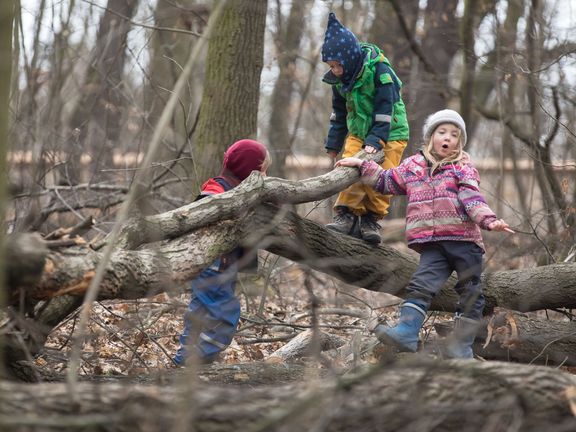 Děti mohou klidně i lézt po stromech.
