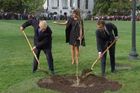 Uhynul strom míru, který před Bílým domem zasadili Trump s Macronem
