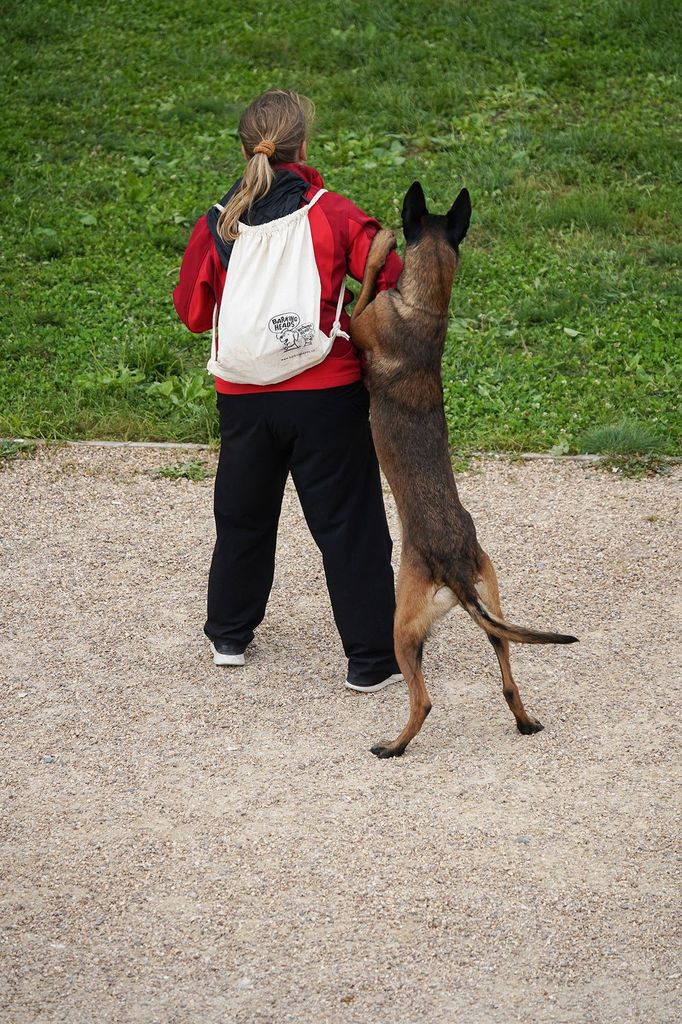 Mezinárodní kynologické závody Prague Agility Party 2022, závodiště Velká Chuchle