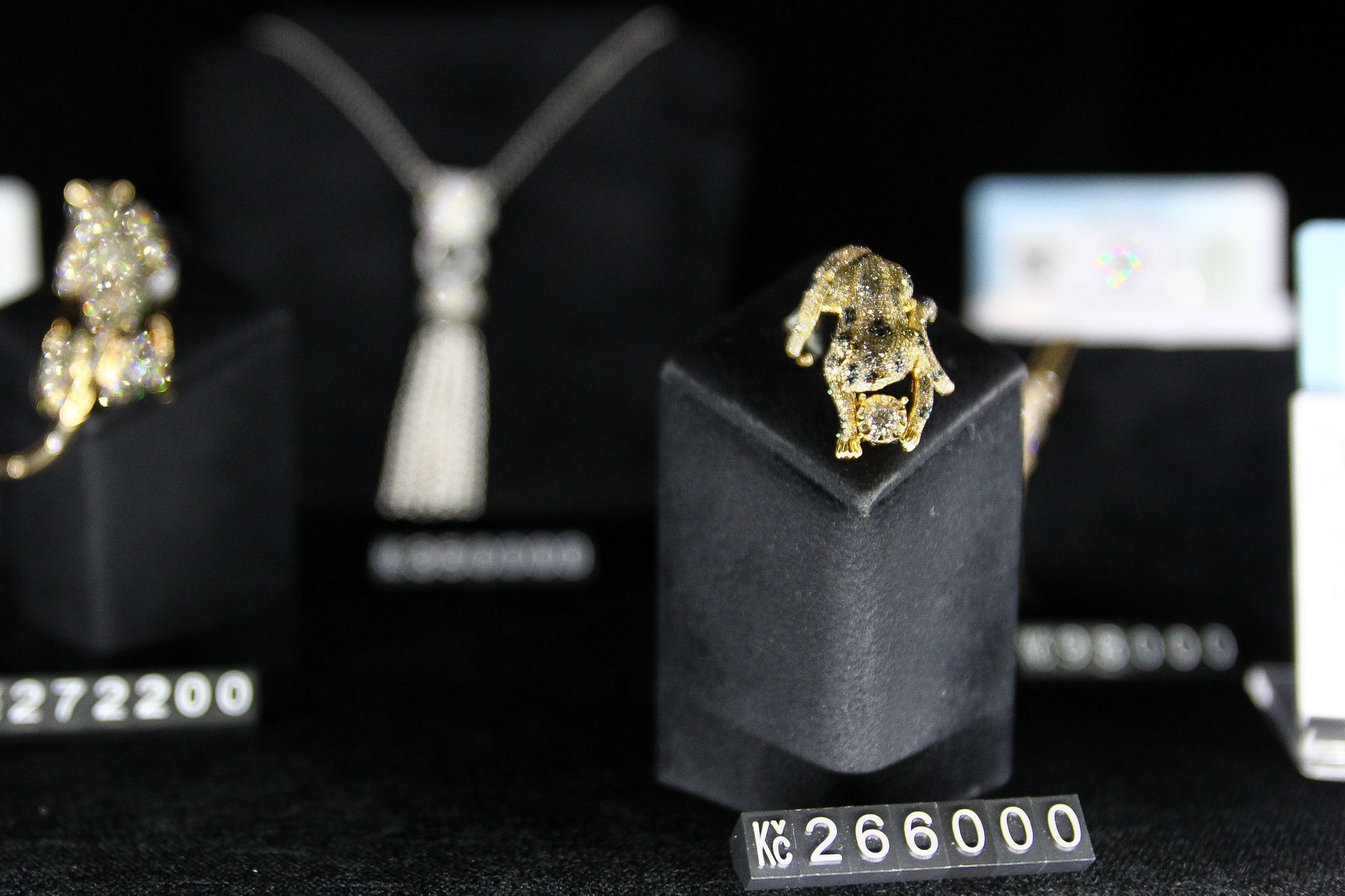 Výstava diamantů v Praze - Diamonds International Corporation