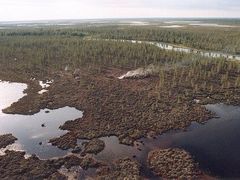 Tundra, to je napůl zem a napůl voda. Pevná zem je protkána říčními koryty, rybníčky a bažinami. Půda je zde pouze 30 cm hluboká, pod ní už je jen několik set metrů vysoká, věčně zmrzlá zem