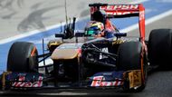 Do "stáje" Renaultu se nově přidá Toro Rosso, které tak využije zkušenosti sesterského týmu Red Bull. Bývalé Minardi dosud používalo motory Ferarri, teď je vymění za francouzský výrobek, převodovky dodá Red Bull.