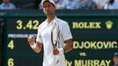 Novak Djokovič ve finále Wimbledonu 2013