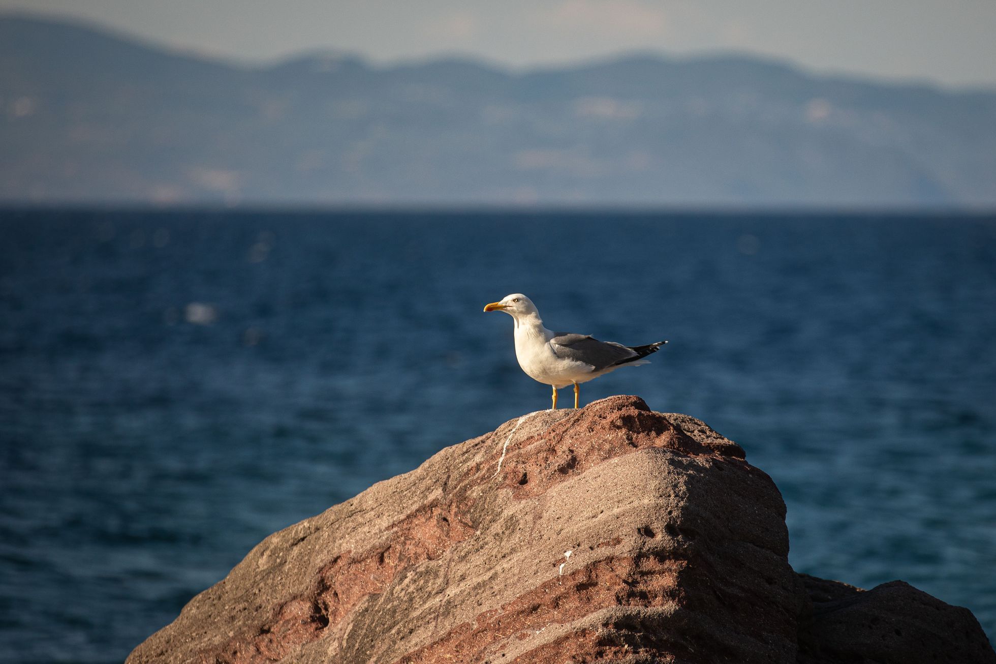Lesbos turistické tipy, turismus, historie, antické památky, akvadukt, zkamenělý les UNESCO