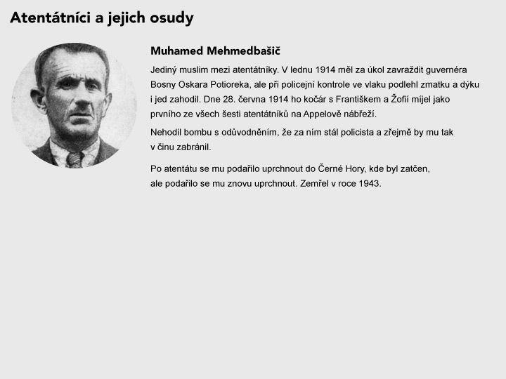 Grafika - atentát - František Ferdinand d'Este