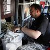 Koně Převalského na cestě do Mongolska