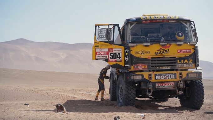 Jako osudová skončila pro Martina Macíka 5. etapa Rallye Dakar. Nejdřív trpěl nevolností, v dalším průběhu urazil kolo. Ztráta v cíli byla obrovská.