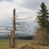 Národní park Šumava