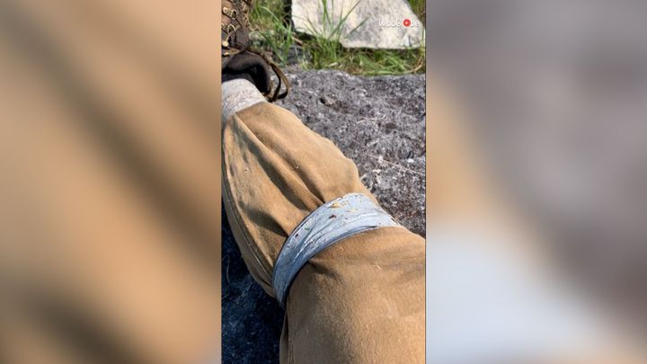 Jak se chránit před klíšťaty. Muž se podělil o jednoduchý trik a video sklízí úspěch; Zdroj foto: Reuters