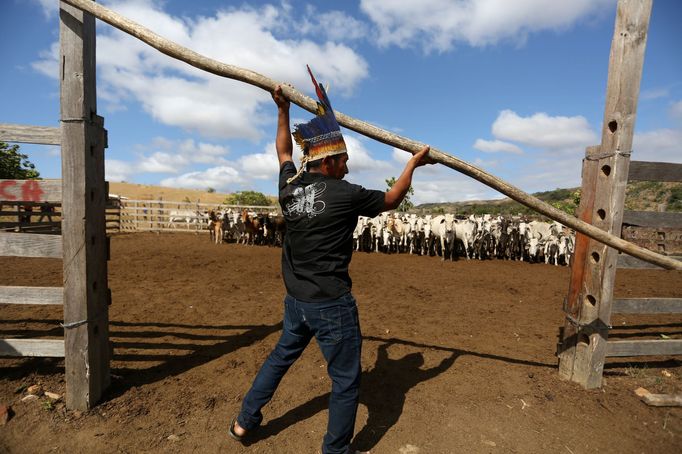 Brazilští indiáni Macuxi v ohrožení farmáři a těžaři