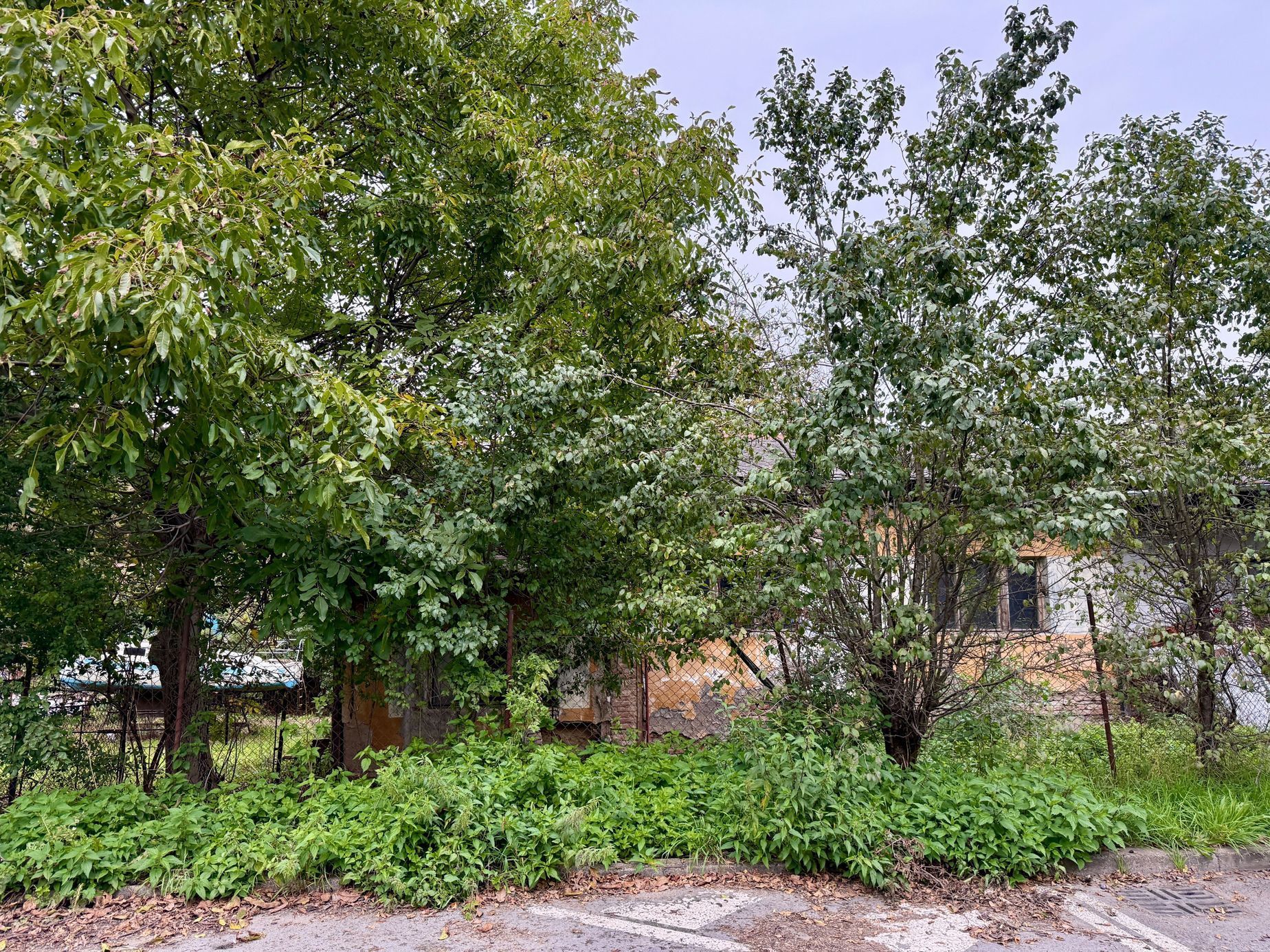 kolonie, nouzová kolonie, Hrdlořezy, Praha, bydlení