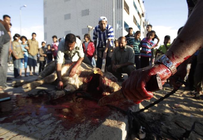 A Palestinian butcher slaughters a bull on the first day of Eid al-Adha at Khan Younis in the southern Gaza Strip October 26, 2012. Muslims around the world celebrate Eid-al-Adha, marking the end of the haj, by slaughtering sheep, goats, cows and camels to commemorate Prophet Abraham's willingness to sacrifice his son Ismail on God's command. REUTERS/Ibraheem Abu Mustafa (GAZA - Tags: RELIGION) Published: Říj. 26, 2012, 8:19 dop.