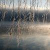 Nejlepší snímky Reuters na pomoc dětem - série Zvířata, příroda, panorama