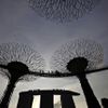 Obrazem: V Singapuru postavili pozoruhodné zahrady