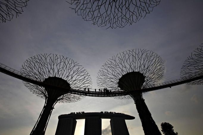 Guests walk on the elevated skyway of the Supertrees Grove at the Gardens by the Bay in Singapore June 28, 2012. The 101-hectare gardens situated at the heart of Singapore's new downtown at Marina Bay, which have two greenhouses and 220,000 plants from almost every continent, was officially opened by Singapore's Prime Minister Lee Hsien Loong on Thursday. REUTERS/Tim Chong (SINGAPORE - Tags: ENVIRONMENT SOCIETY) Published: Čer. 28, 2012, 2:57 odp.