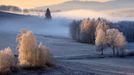 Pavel Ouředník: Šumava