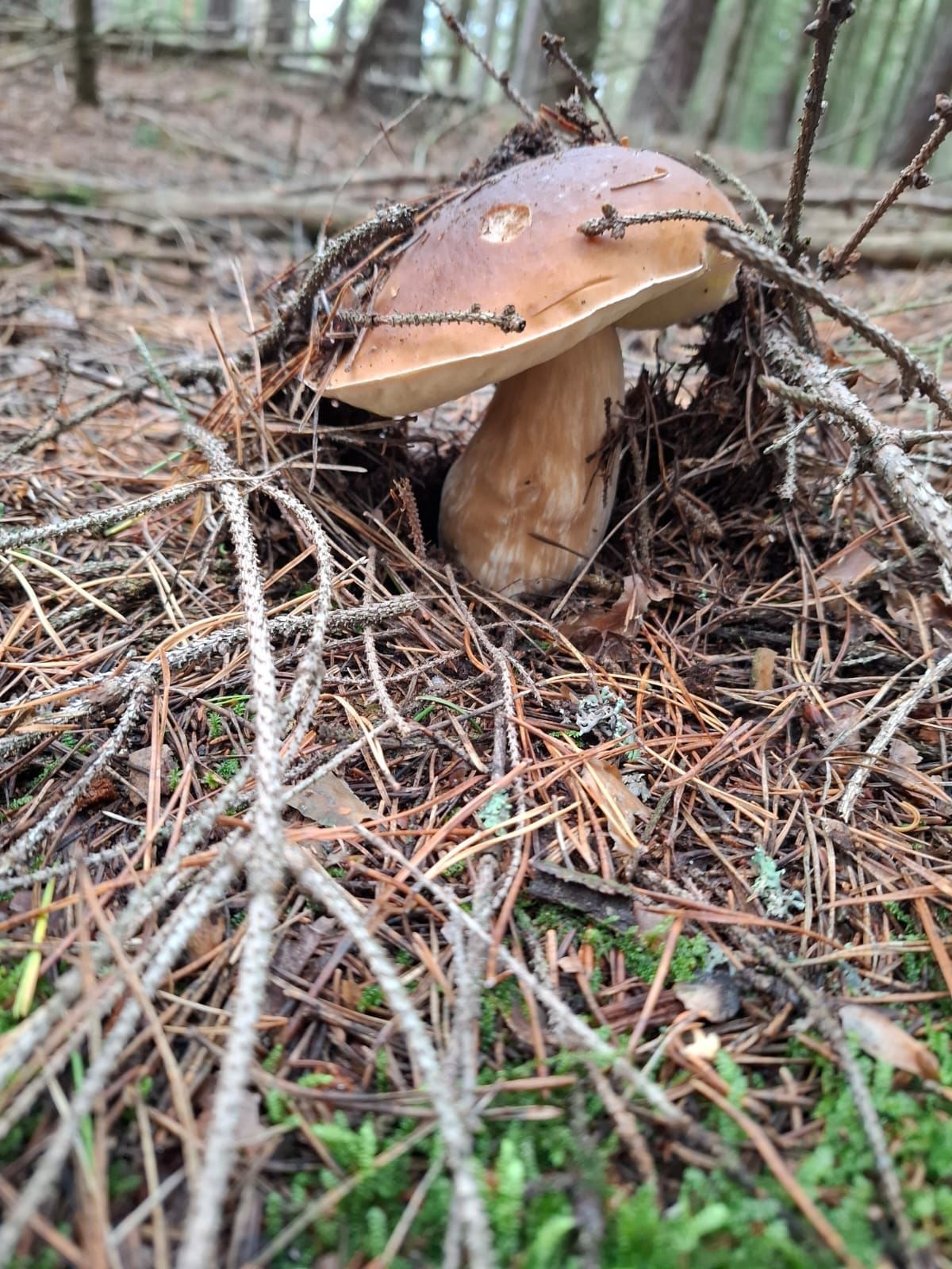 fotosoutěž