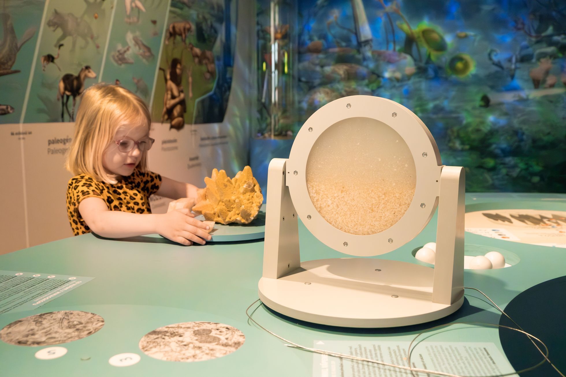 Koněprusy - Přírodní centrum